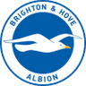 Brighton & Hove Albion Club