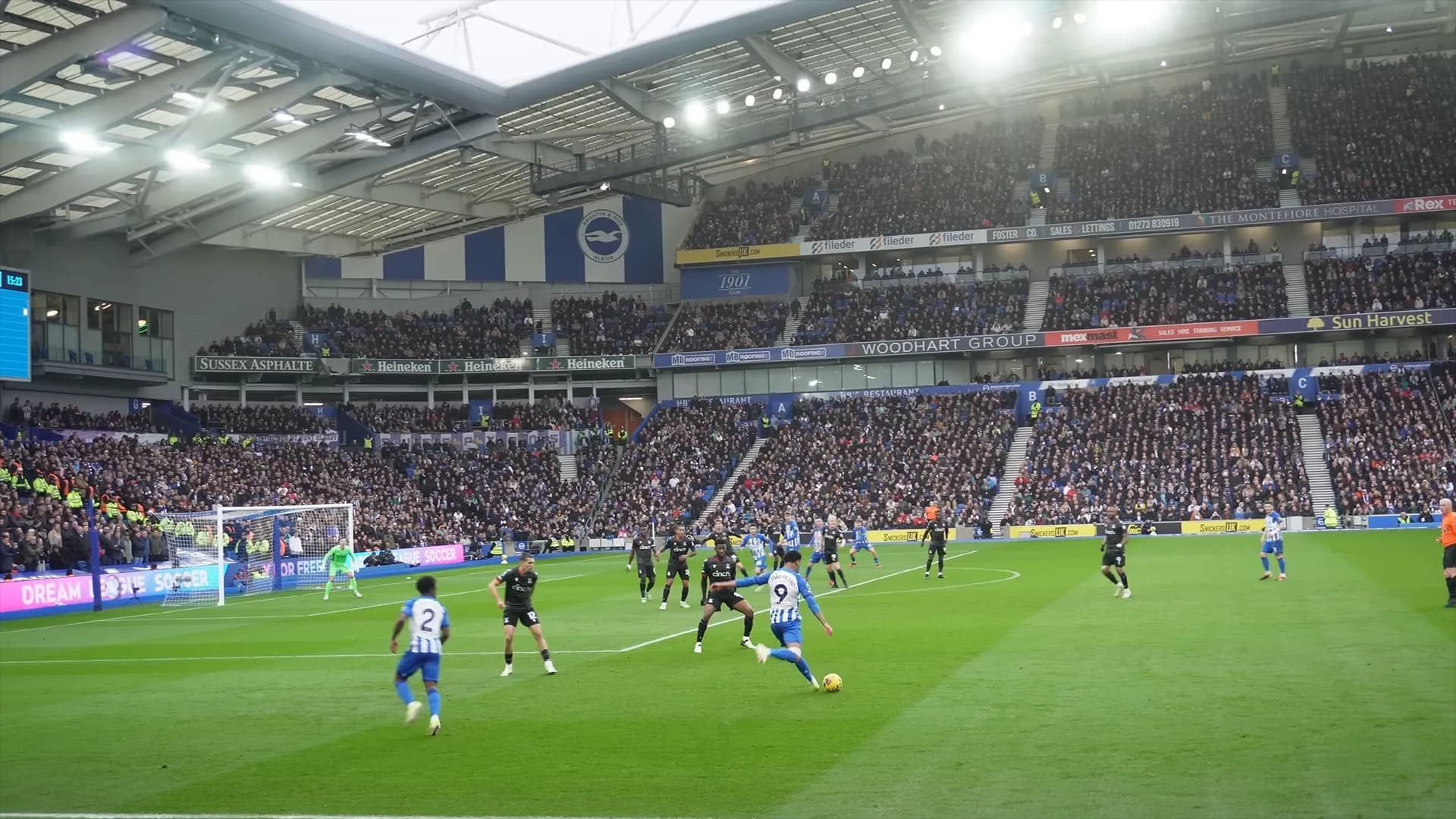 Brighton & Hove Albion background